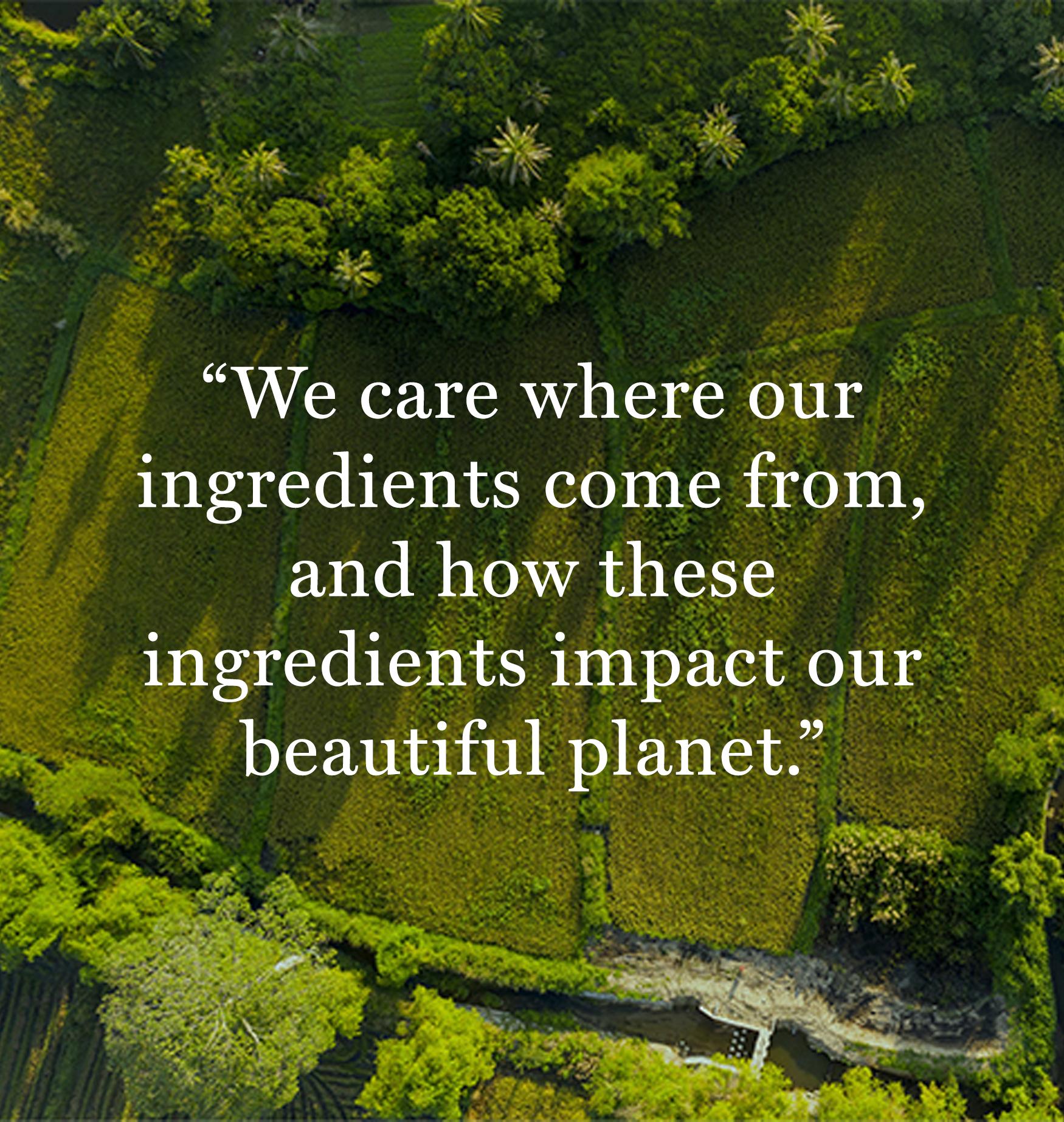 The Story Behind Our Sustainably Sourced Ingredients | BOOM! Beauty by ...