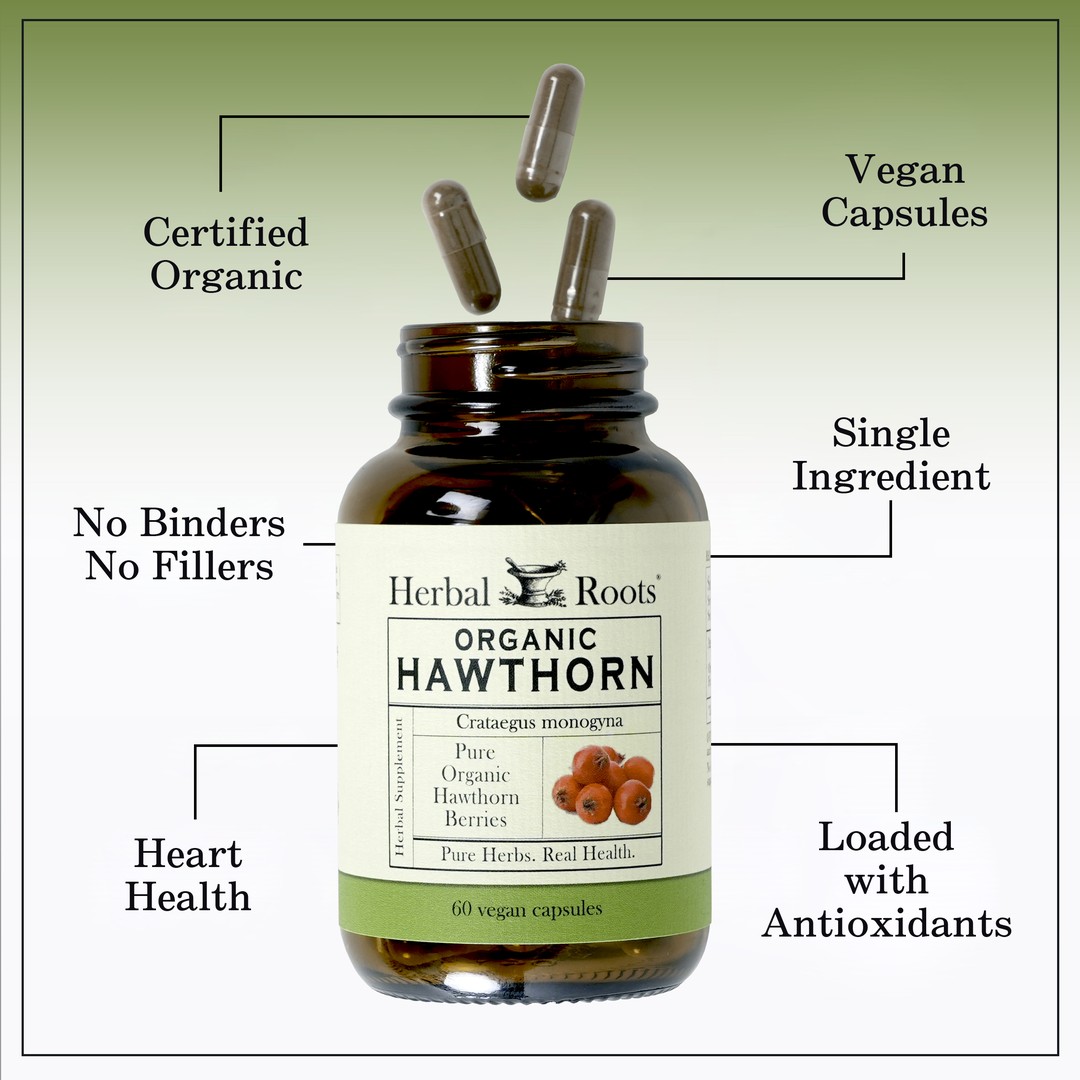 Bottle of Herbal Roots Organic hawthorn with three pills spilling out of the top of the bottle. There are several lines pointing to the bottle and the capsules. The lines say Certified Organic, Vegan Capsules, Single ingredient, No Binders or fillers, heart health and Loaded with antioxidants.