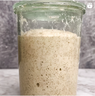 Bubbly Sourdough Starter UGC