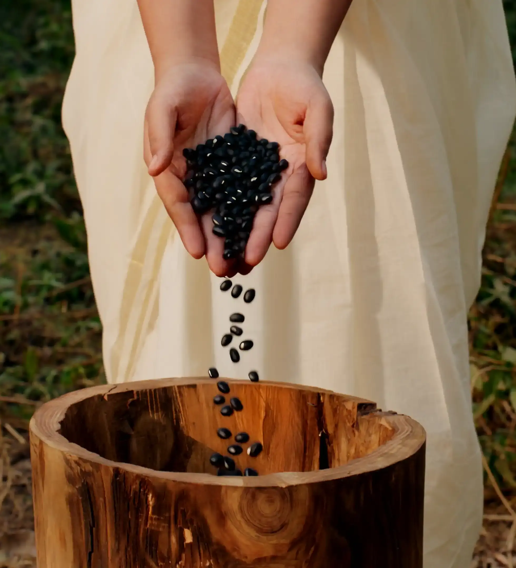 A specifically Vata-balancing oil, it has very focused effects on dry, aging skin (Vata is the Ayurvedic phrase to describe the element of air and space, the imbalance of which can cause dryness and aging) 