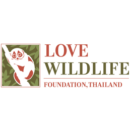Love wildlife foundation