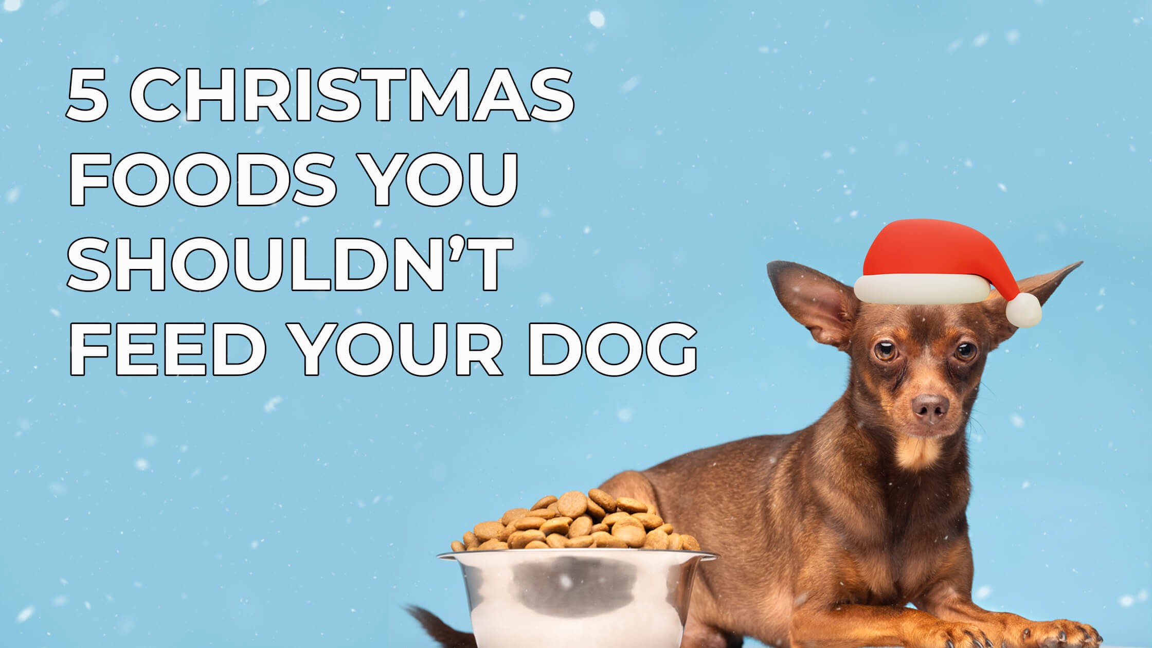 5 Christmas Foods You Shouldn’t Feed Your Dog