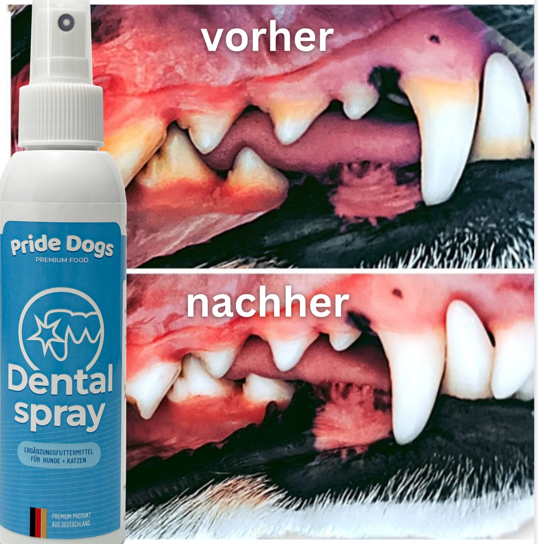 Dentalspray vorhernachher
