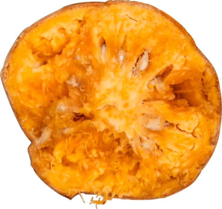 Stone Apple (Bael)