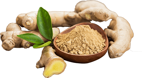 Ginger