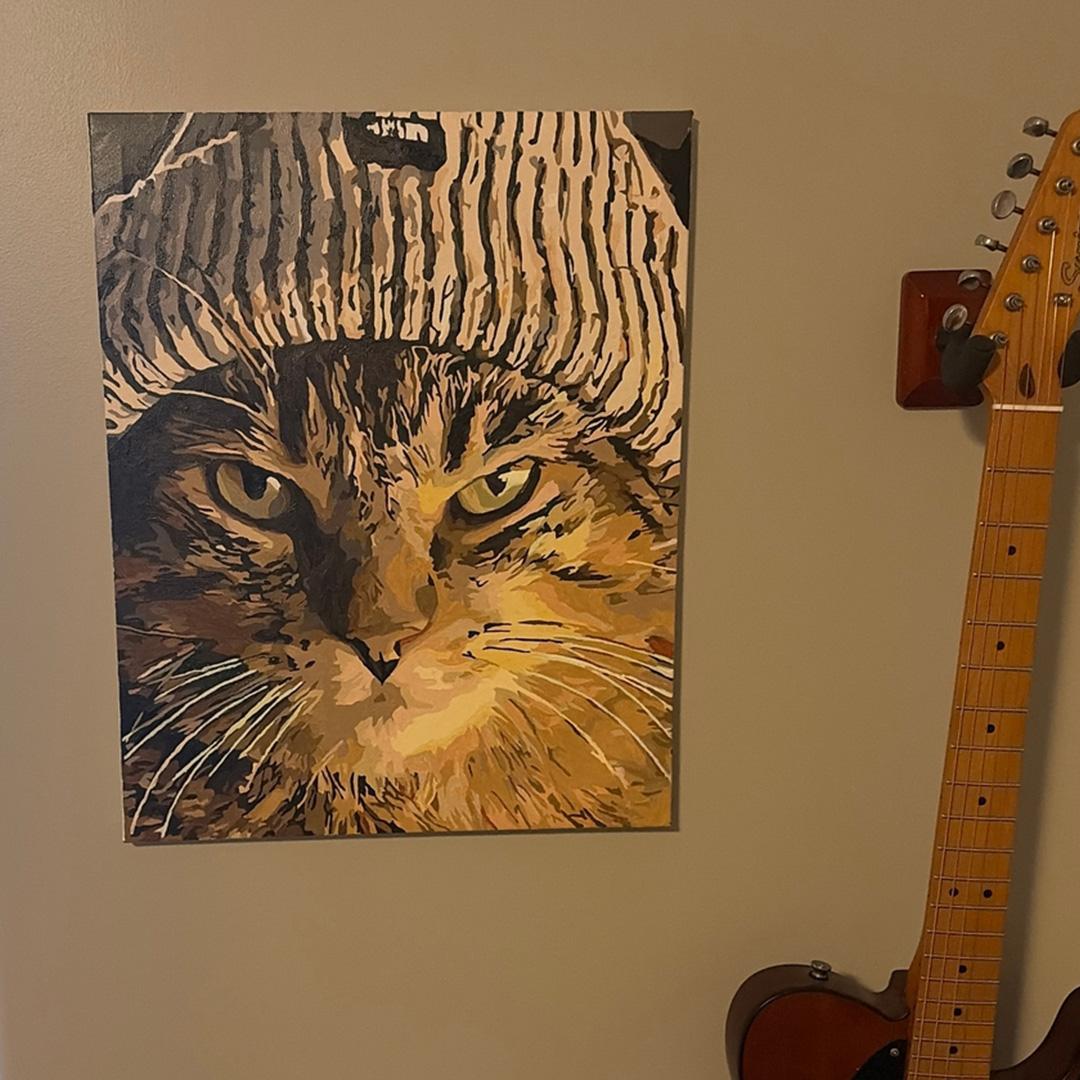 Pet