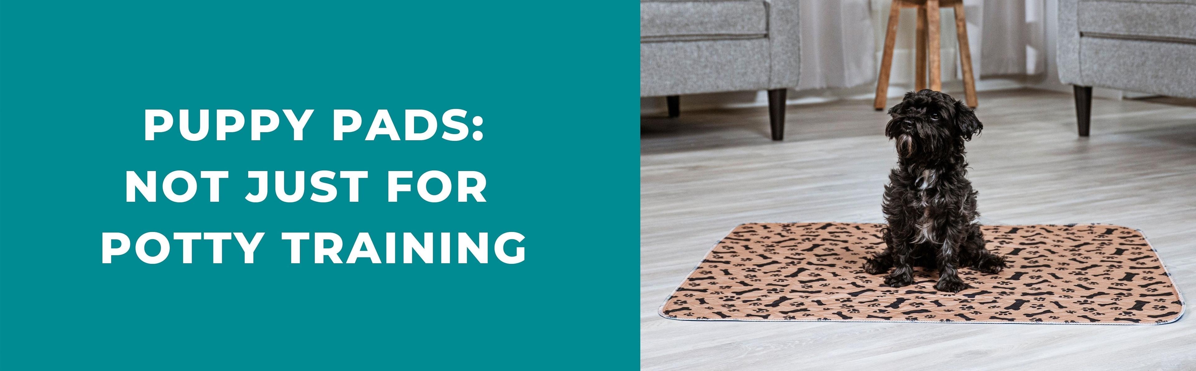 Unexpected uses for your puppy pad Potty Buddy™