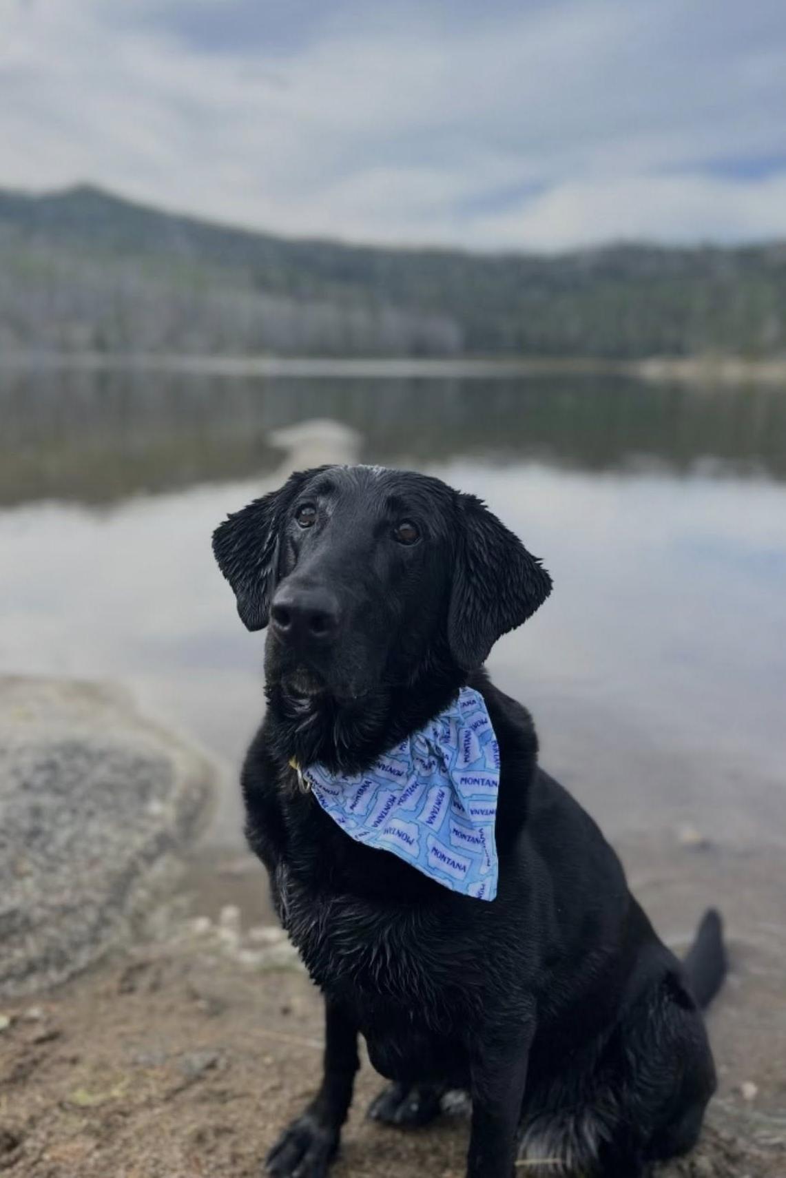 ssd jaye by water