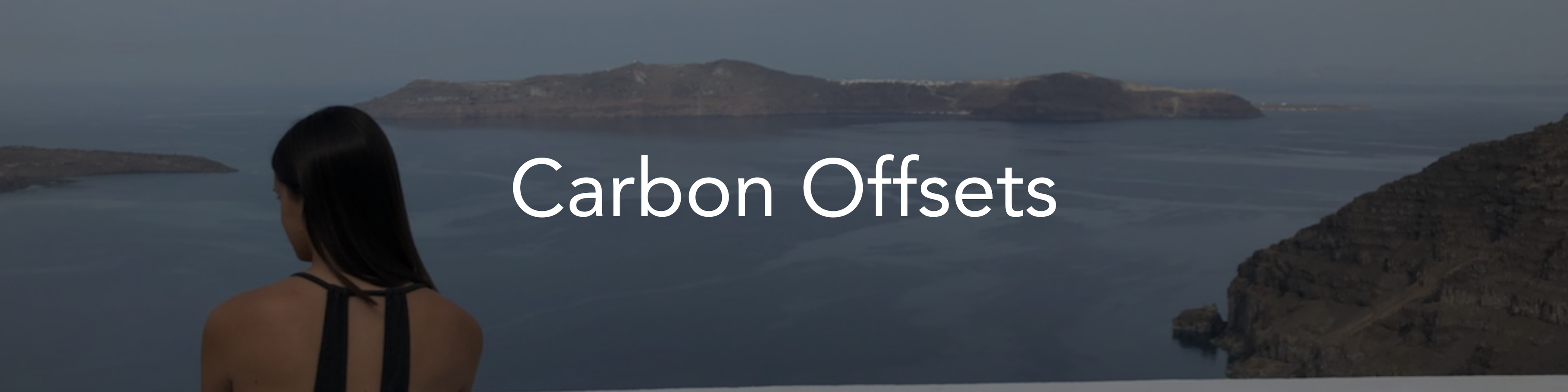 Carbon Offsets