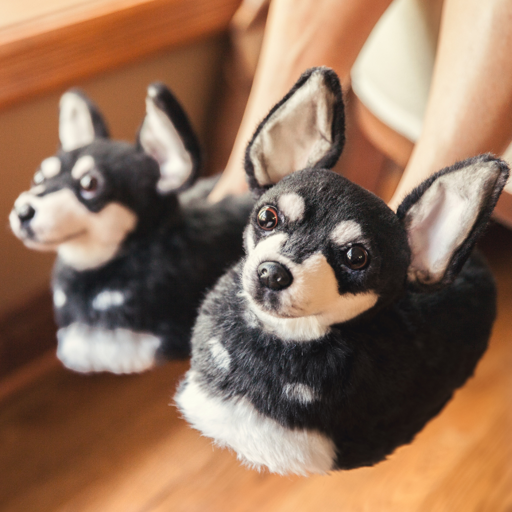 Black Chihuahua Plush Slippers