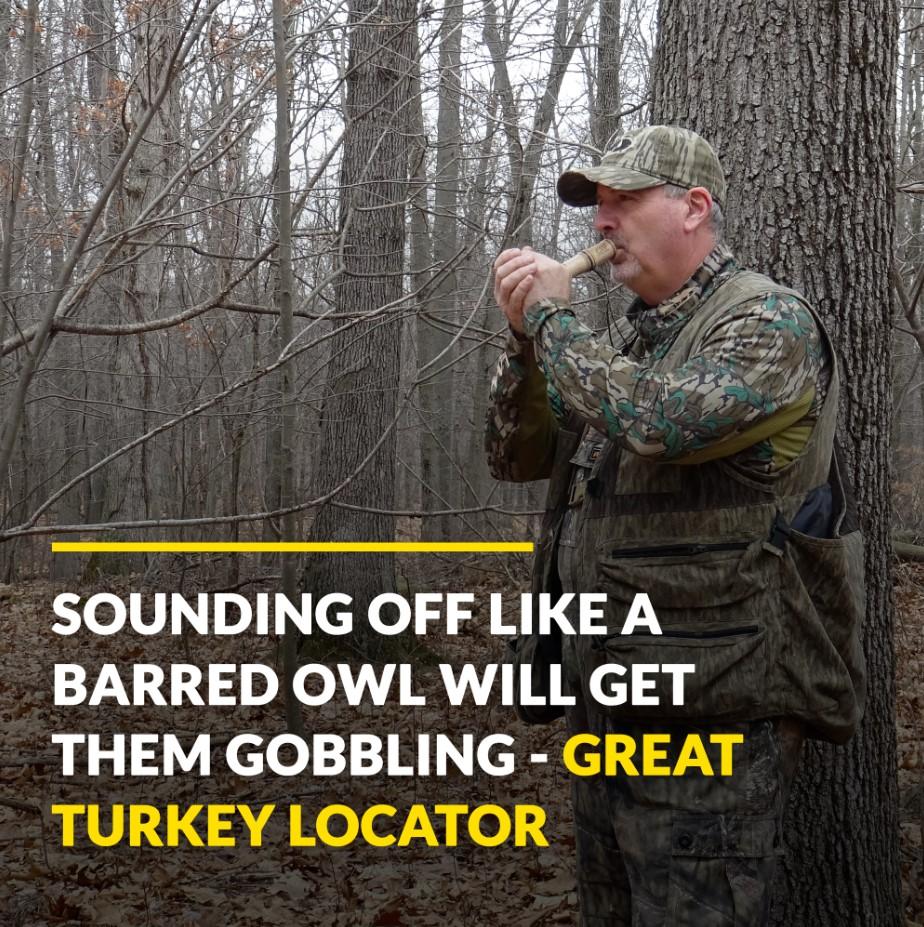 Pure Owl Call Turkey Locator ESH Custom Calls