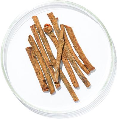 Indian Madder