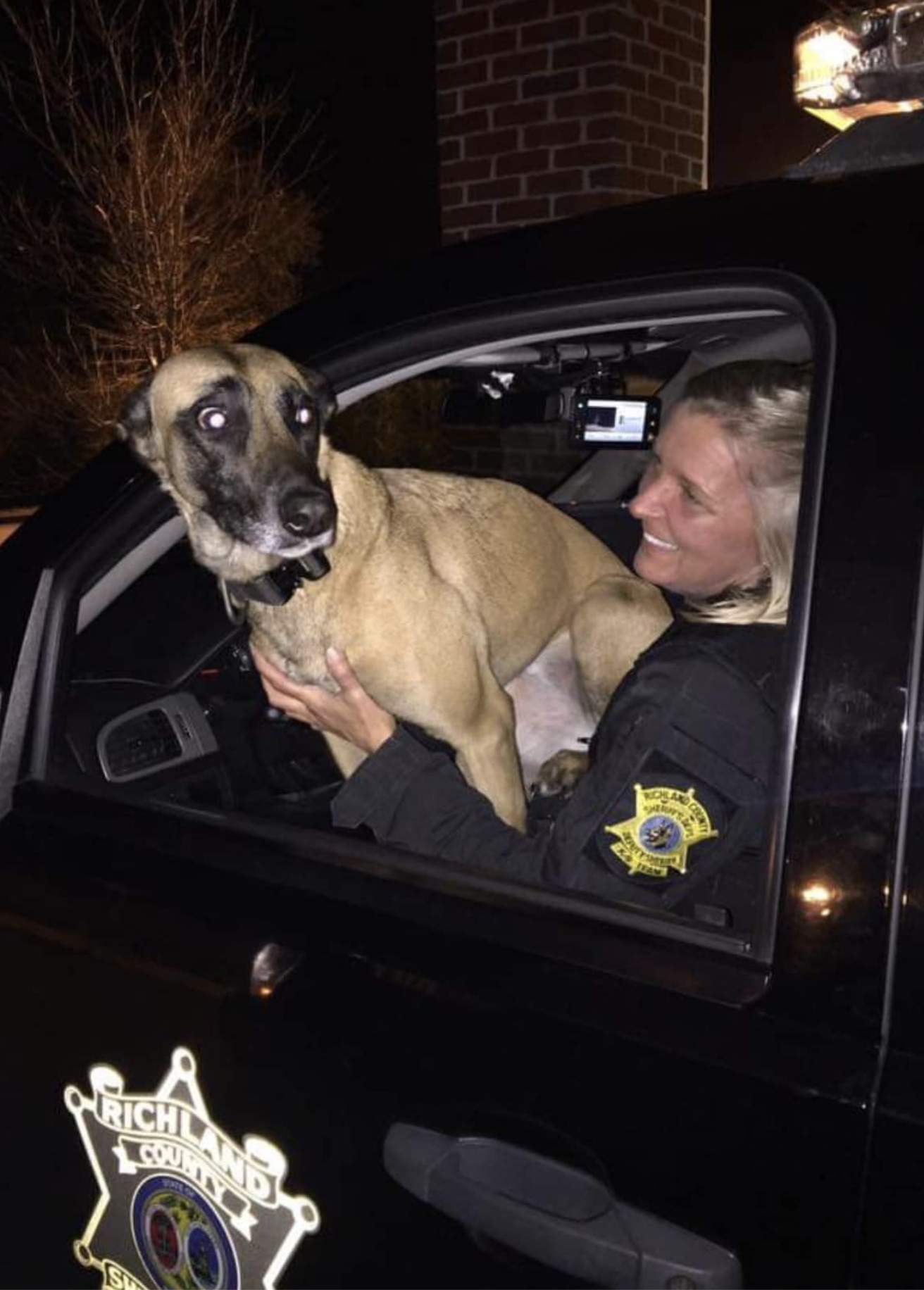 k9 tika at work