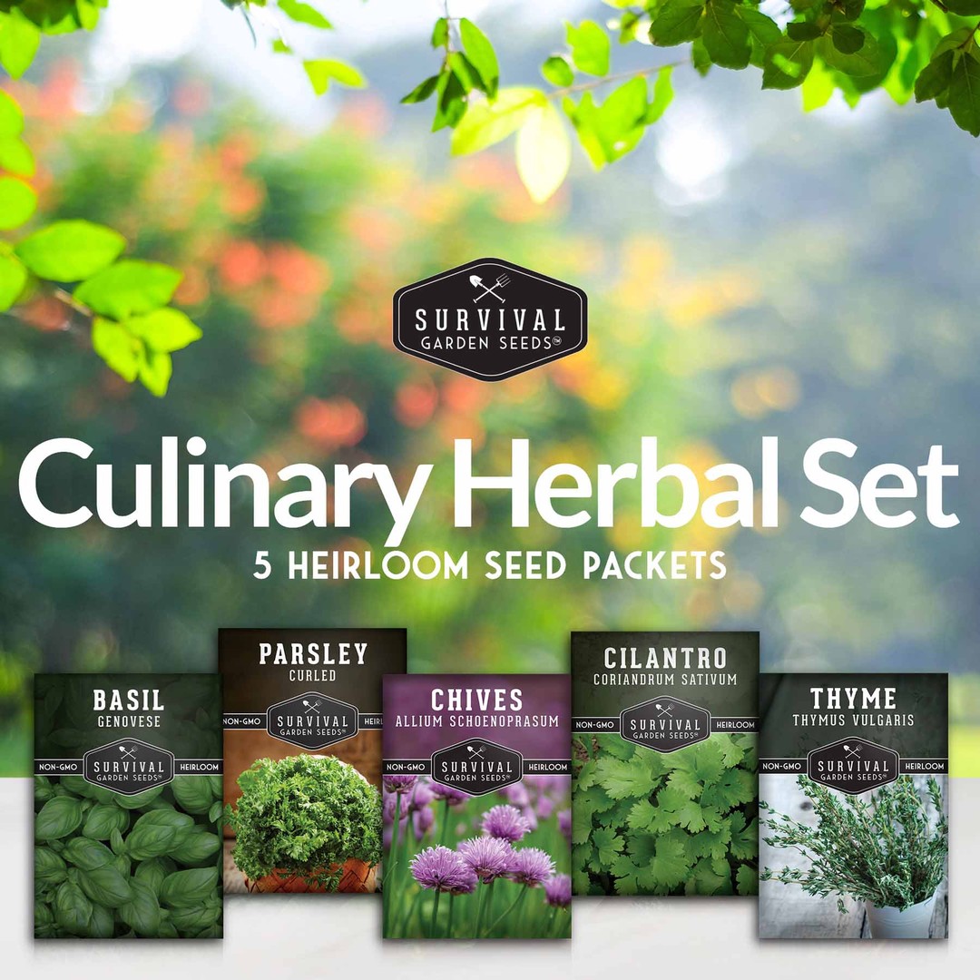 Culinary herb seed collection