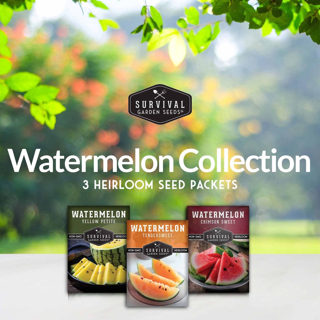 Watermelon Seeds Collection