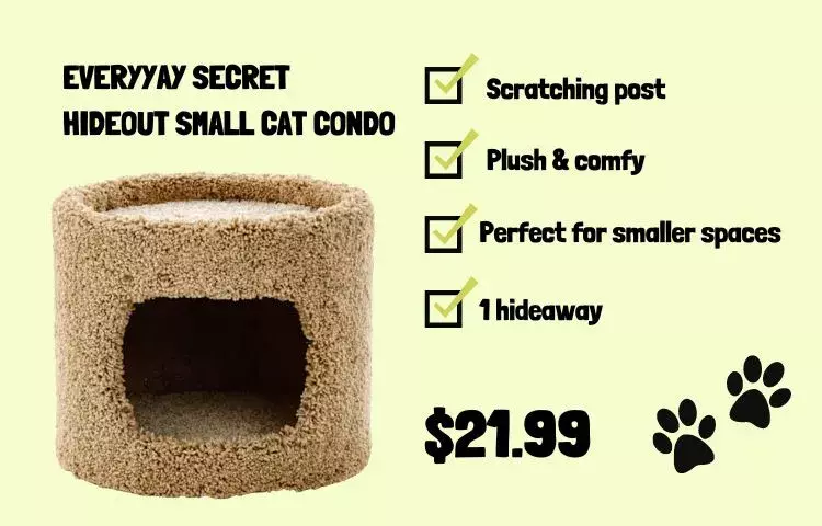 everyyay cat condo