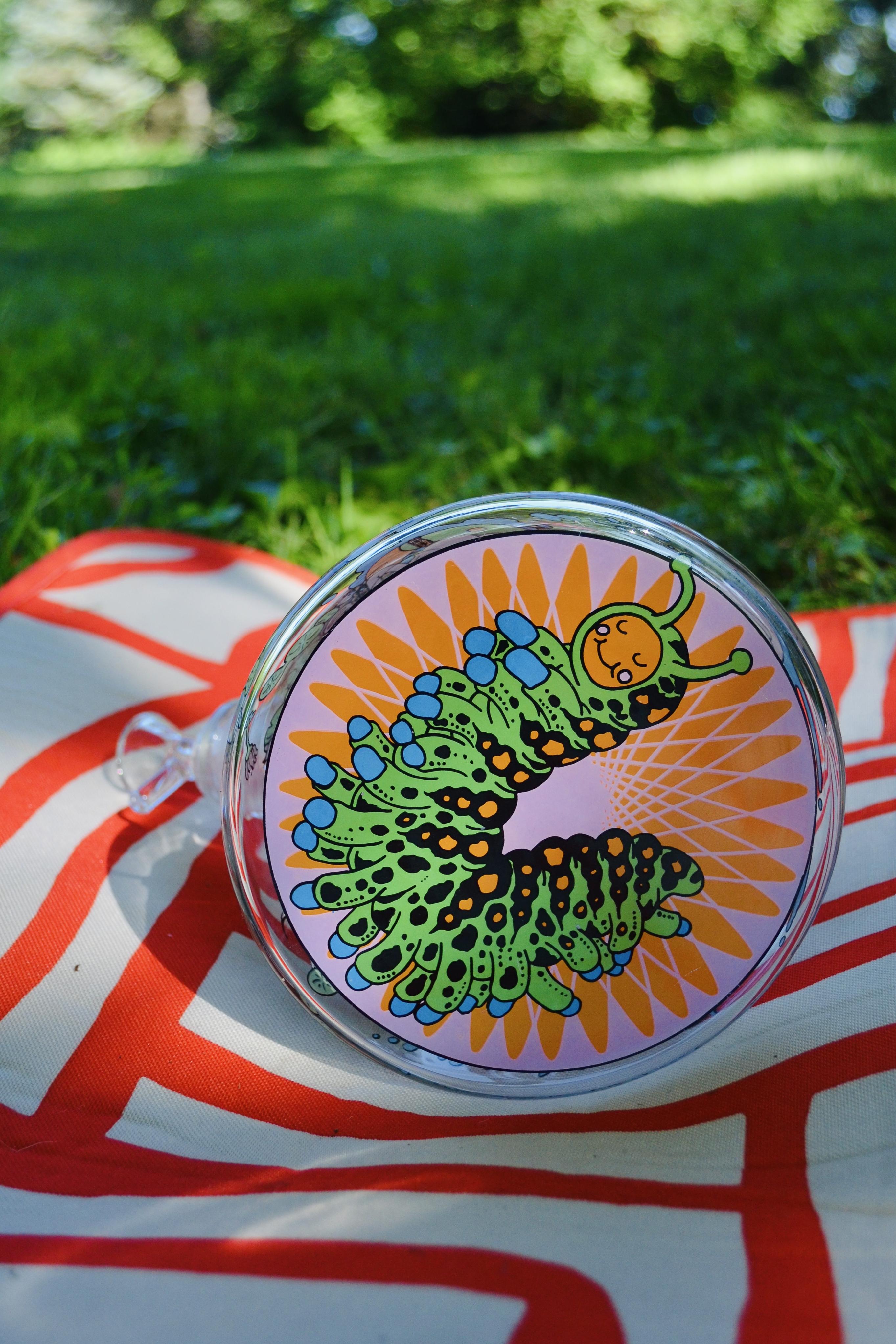 An image of the bottom of a Prism glass beaker with a circular Pond Life decal on it on a picnic blanket on some grass