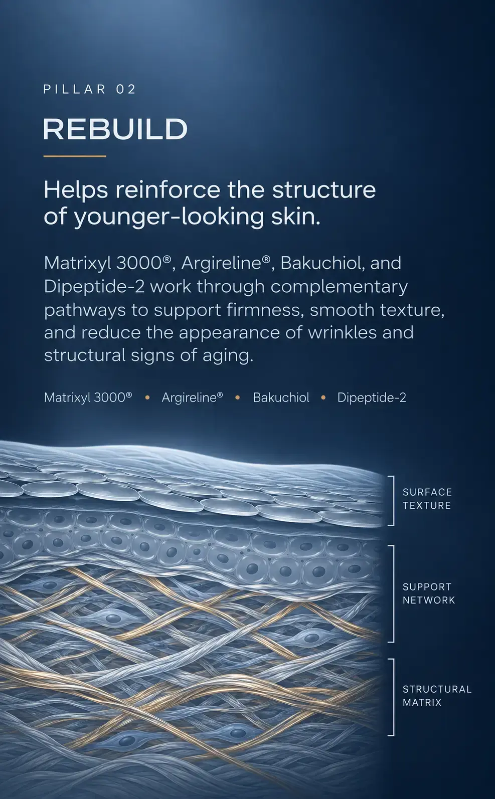 strataplex tech, advanced clinical R&D framework for mens skin, Defend, Restor, Firm, Advanced skincare science.
