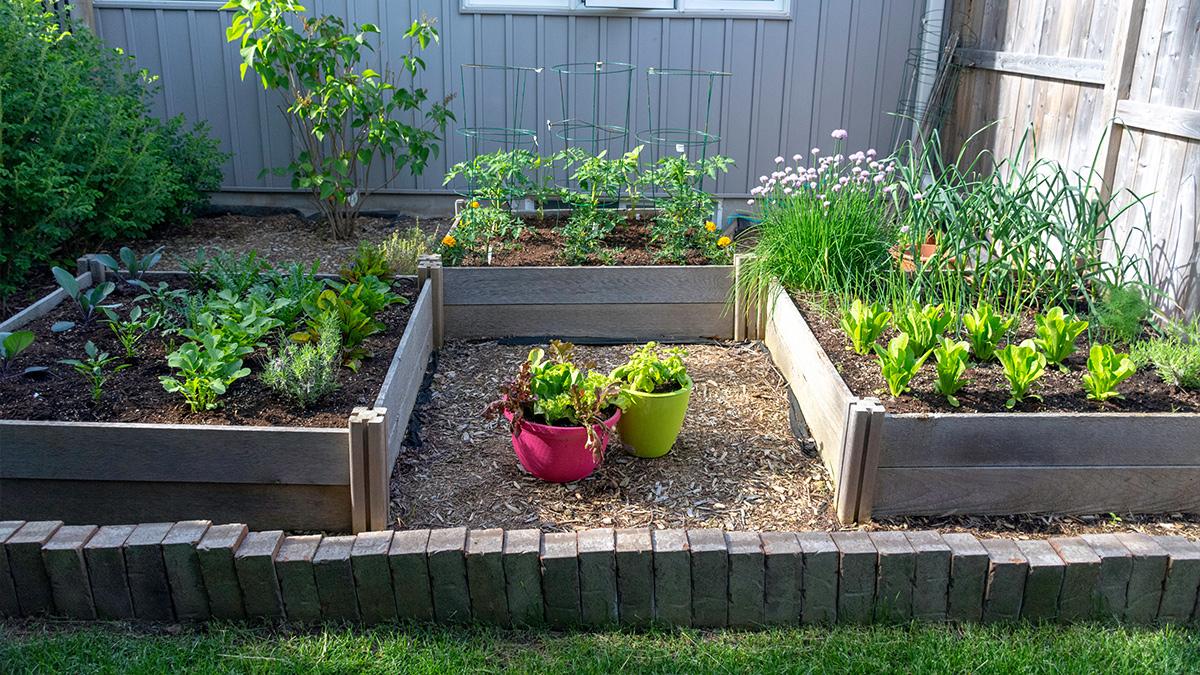 The preparedness garden