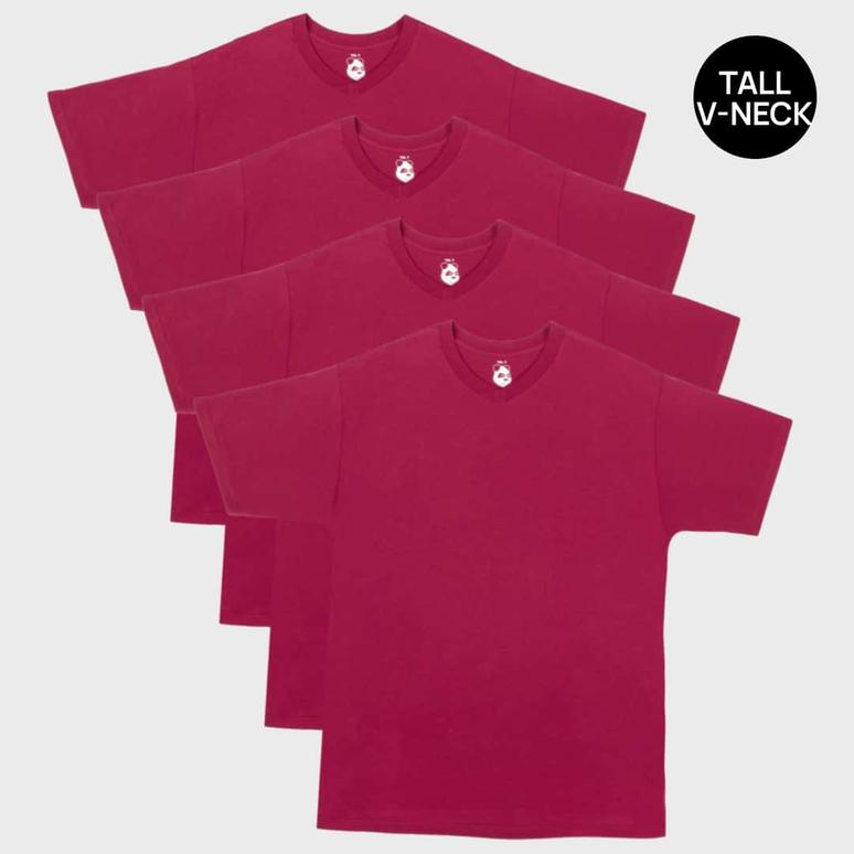 Tall Men's V-Neck Bamboo Viscose T-Shirts 4-Pack Bundles