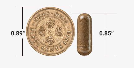 capsule size comparision