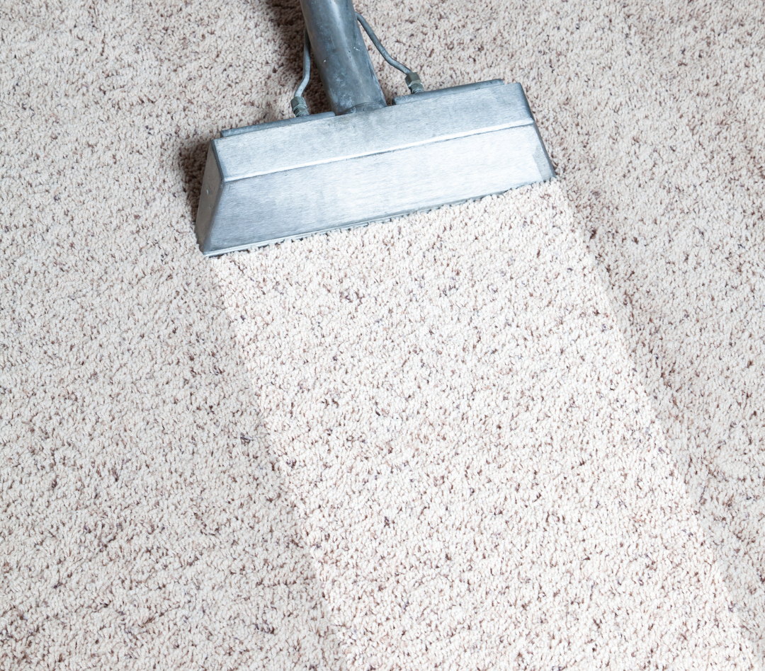Aspirez votre tapis pour éliminer la poussière et les débris.