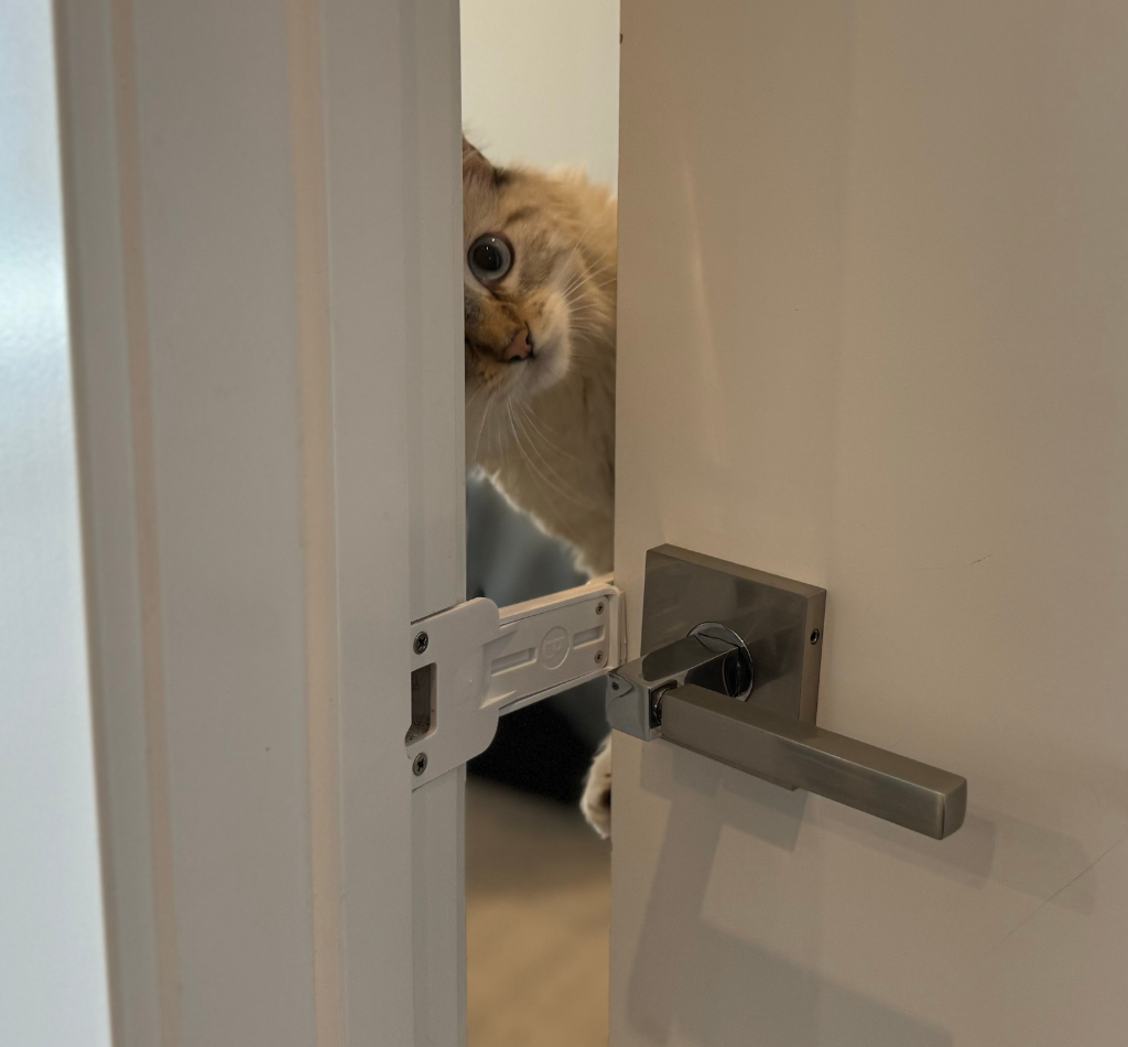 A cat peeks through a partially open door held in place by The Door Buddy door prop. The adjustable prop creates a small opening that allows cats to pass through easily while helping keep dogs and babies out of the room.
