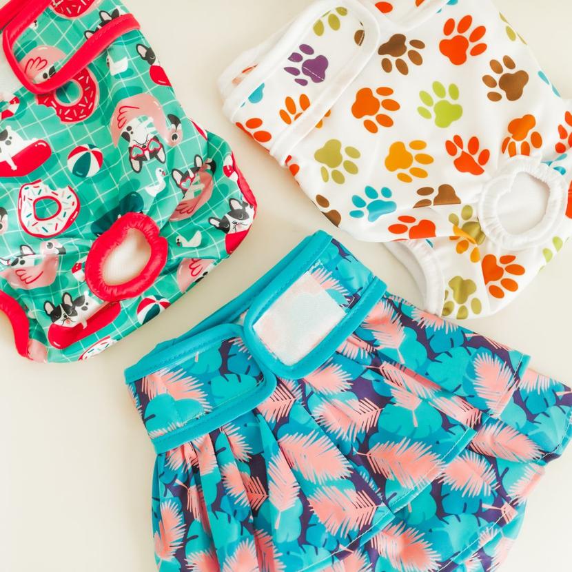 Do Dog Diapers Work? Potty Buddy™