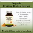 Infographic that states Organic Fruiting Bodies extract. Using the fruiting bodies of the mushroom offers a higher concentration of beneficial compounds, making it more potent and effective. No added fillers, grain or mycelium. There is a bottle of Herbal Roots Organic Cordyceps.