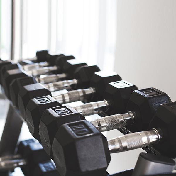 Commercial & Home Gym Equipment UAE