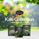 Kale Seed Collection - 3 heirloom varieties