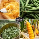 Corn, Beans and winter squash
