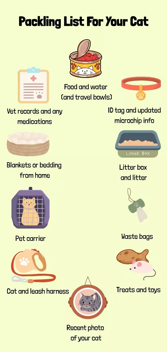 packing list for your cat