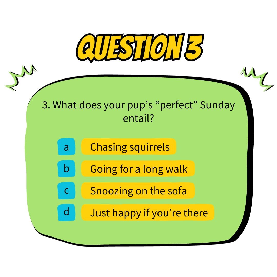 Question 3: What does your pup's "perfect" Sunday entail?