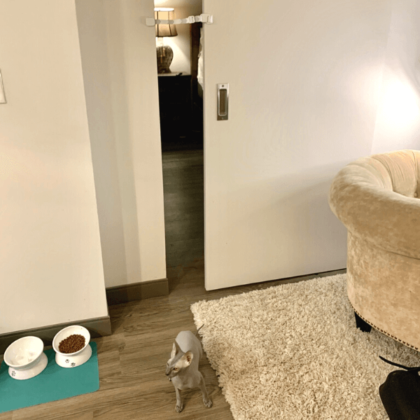 The Door Buddy - pet products for cat owners