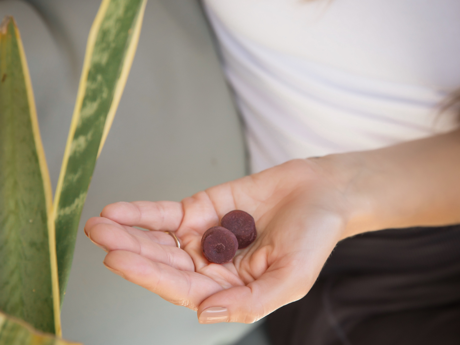 Mushroom Gummies | Brain Wave Mushroom Gummies