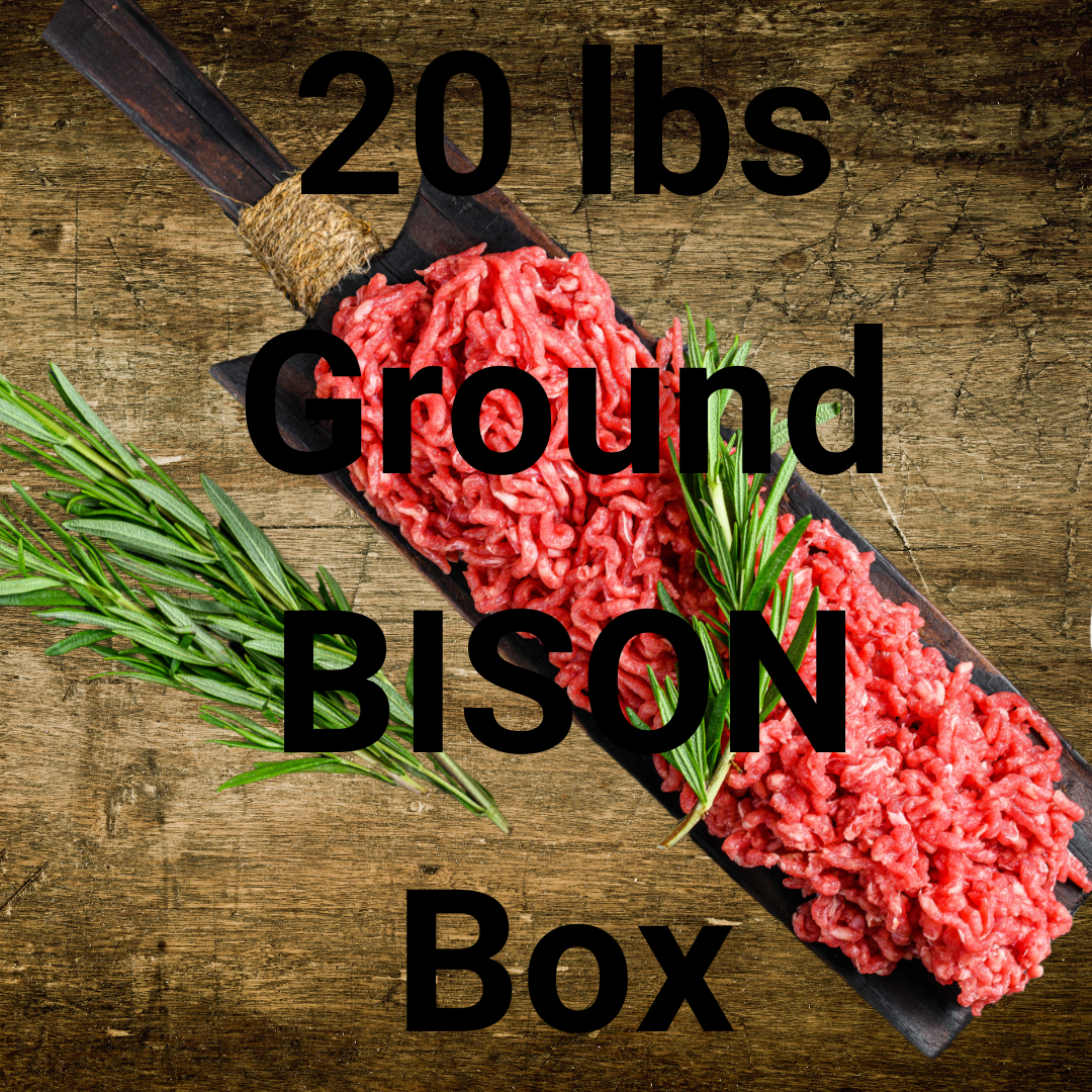 Bison