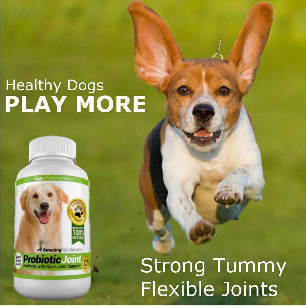 Chewable probiotics cheap for dogs