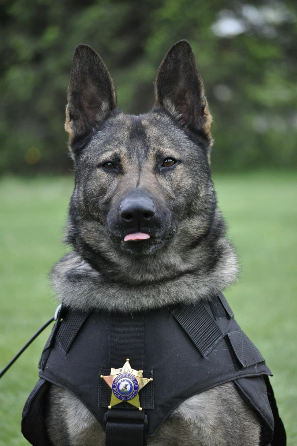 k9 beni