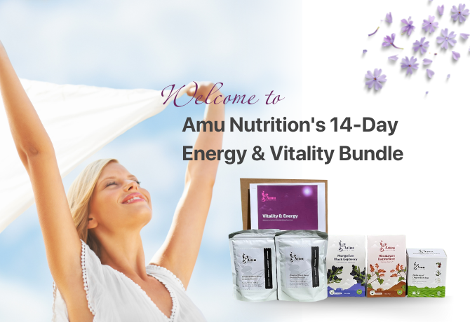 Health wellness bundle Energy and Vitality bundle