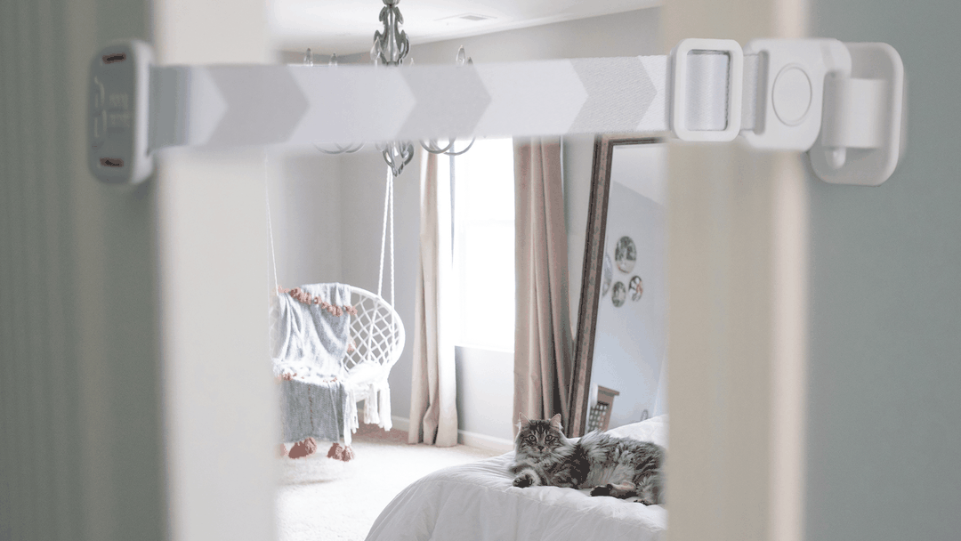 How to Keep the Dog Out of the Litter Box Guide Door Buddy