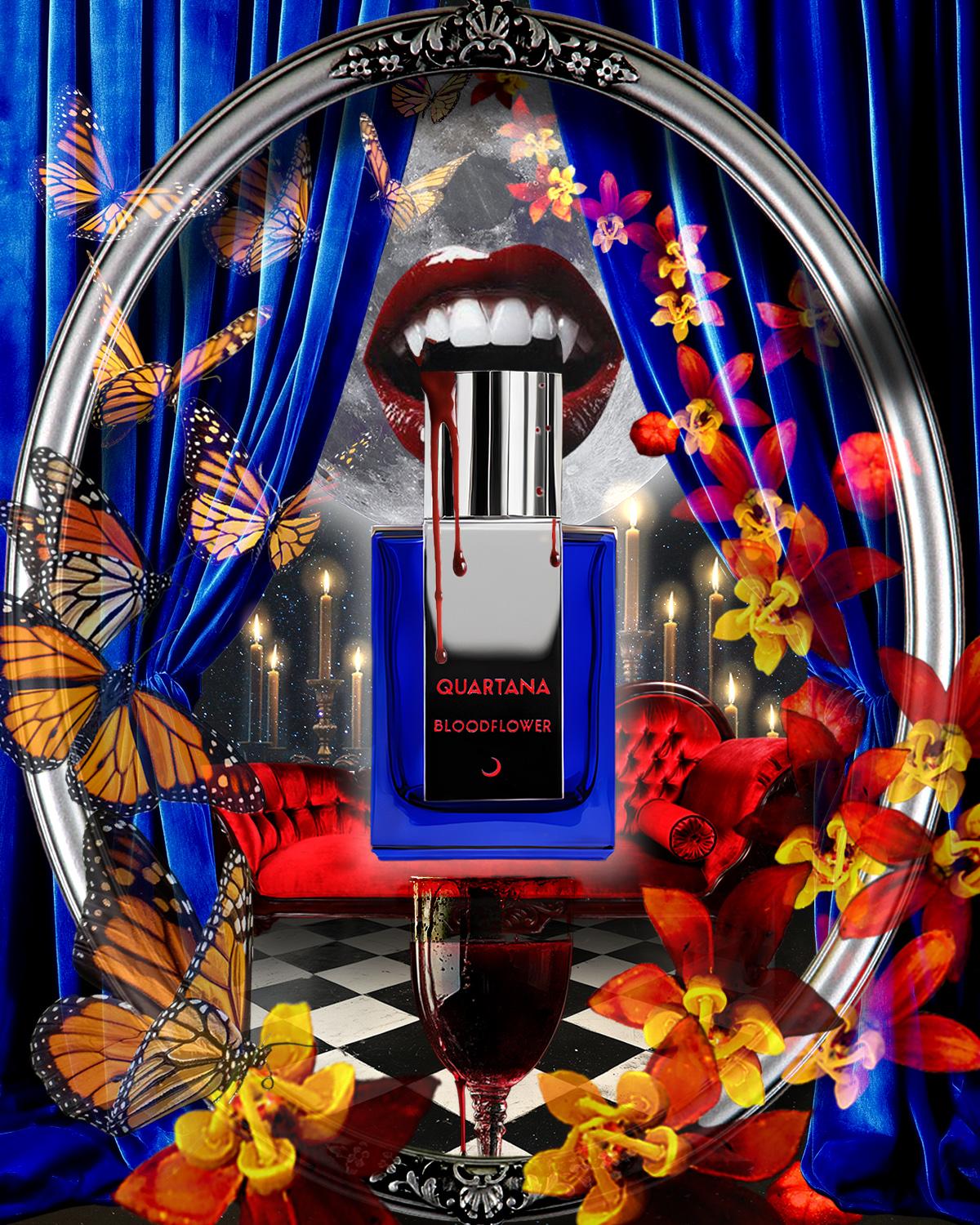 Bloodflower editorial art with vampire fangs biting a bottle of Bloodflower within a picture frame flamed by blue curtains with butterflies and bloodflowers emerging