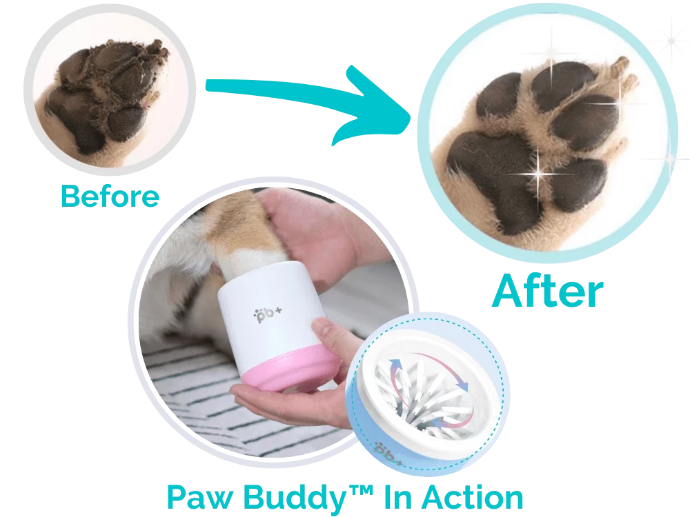 An illustration showing the paw washer cup in action