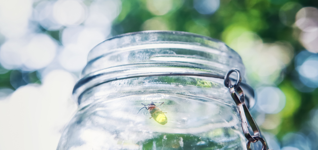 lightening bug in jar
