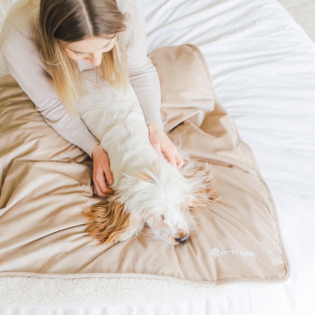 Girl petting dog lying on Potty Buddy Waterproof Blanket