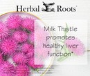 white plate with milk thistle flowers filling it and a milk thistle flower on the table next to the plate. Text on image says Herbal Roots Milk thistle promotes health liver function.