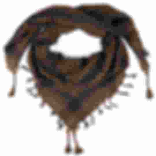 desert Palestinian scarf