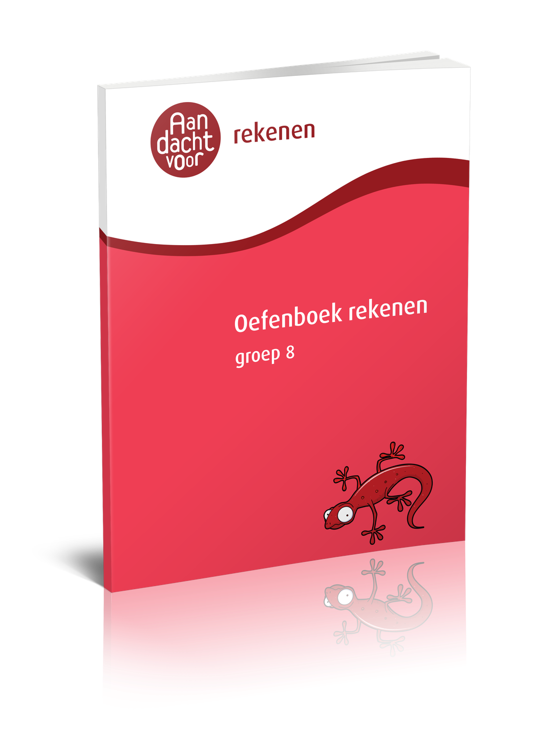 Oefenboek cito rekenen groep 8