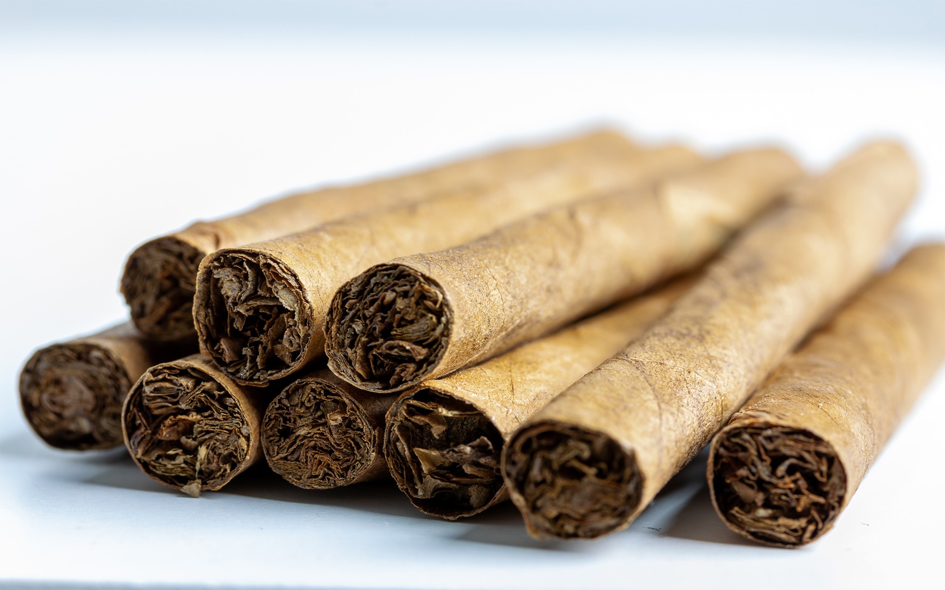 Nicaraguan Cigars