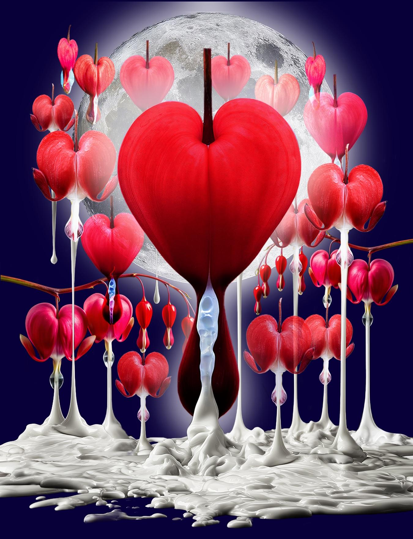 Bleeding Heart flower